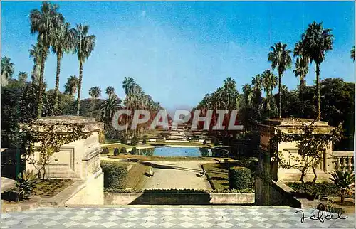Cartes postales moderne Alger le Jardin d'Essai