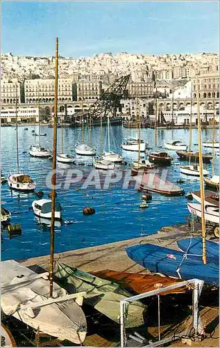 Cartes postales moderne Alger Port et Vue Generale Bateaux
