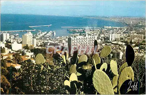 Moderne Karte Alger Panorama