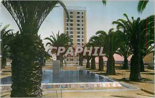 Cartes postales moderne Alger une Belle Realisation de la Municipalite