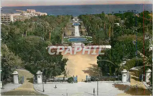 Moderne Karte Alger Vue d'Ensemble du Jardin d'Essai