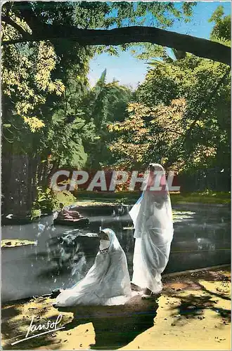 Moderne Karte Alger le Jardin d'Essai Femmes Folklore