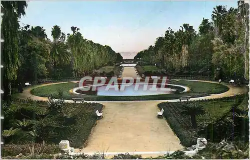 Moderne Karte Alger Jardin d'Essai