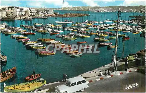 Cartes postales moderne Alger (El Djezair) Vue Generale sur le Port de Plaisance Bateaux