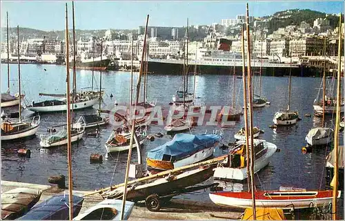 Moderne Karte Alger le Port et Vue Generale Bateaux Paquebot