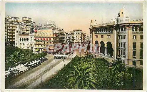 Cartes postales moderne Alger Carrefour de la Rue d'Isly Autobus