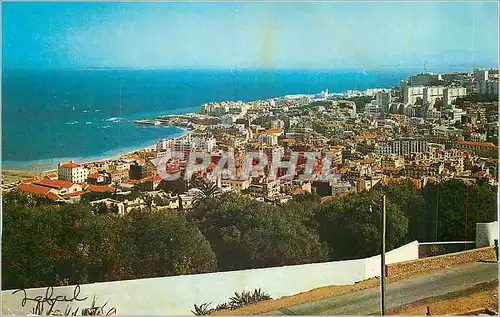 Cartes postales moderne Alger Vue Generale de Bab El Oued