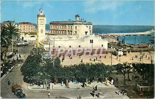 Cartes postales moderne Alger Place du Gouvernement la Mosquee