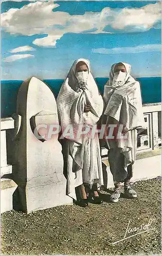 Cartes postales moderne Alger Mauresques Voilees