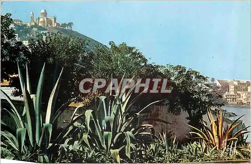 Cartes postales moderne Poesie d'Alger