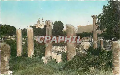 Cartes postales moderne Bone les Ruines d'Hippone et la Basilique