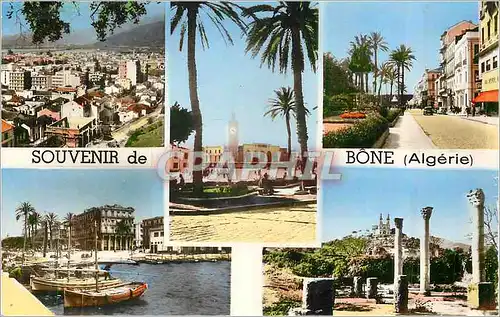 Cartes postales moderne Souvenir de Bone (Algerie)