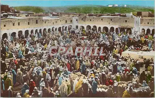 Cartes postales moderne Ghardaia la Place du Marche
