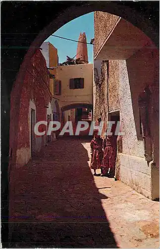Cartes postales moderne Ghardaia Rue Pittoresque
