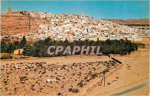 Cartes postales moderne Ghardaia Bounoura Vue Generale