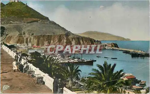 Cartes postales moderne Oran Promenade de l'Etang Bateaux