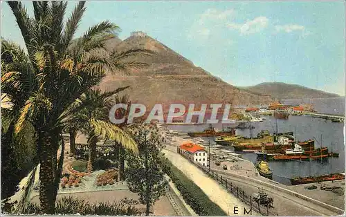 Cartes postales moderne Oran (Algerie) Promenade de Letang Santa Cruz et le Port Bateaux