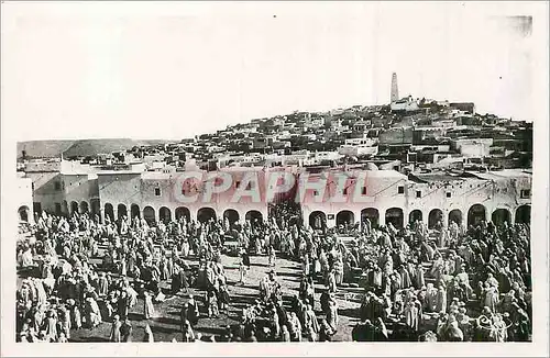 Cartes postales moderne Ghardaia M'Zab (Alger) Vue Generale