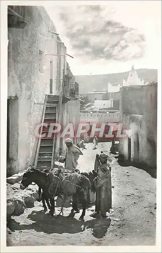 Moderne Karte Bou Saada (Algerie) Cite du Bonheur en Flanant dans la Ville Ane Donkey