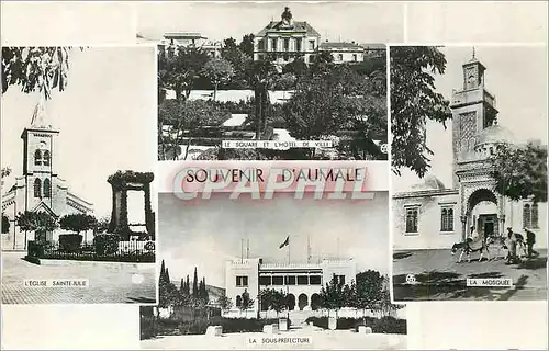 Cartes postales moderne Souvenir d'Aumale L'eglise Sainte Julie Le square et l'hotel de ville La mosquee Ane Donkey La s
