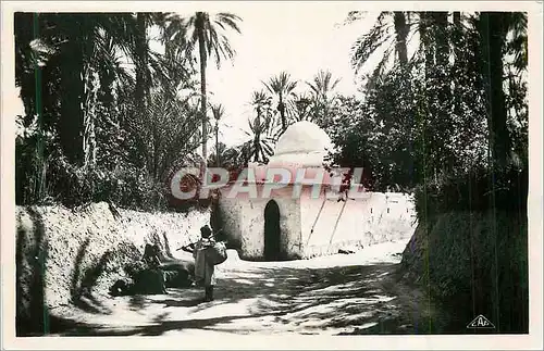 Moderne Karte Scenes et Types Marabout dans l'Oasis