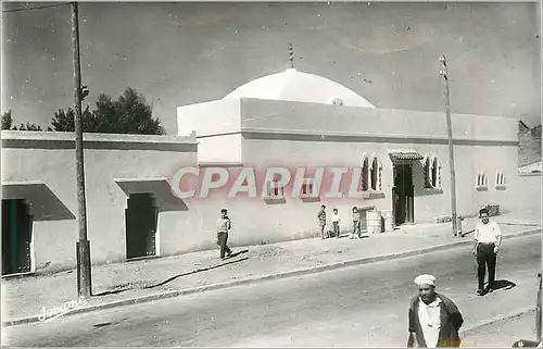 Cartes postales moderne Rovigo (Algerie) la Mosquee