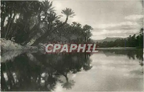 Cartes postales moderne Colomb Bechar Vue de l'Oued