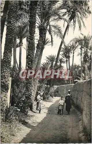 Cartes postales moderne Biskra (Constantine) Vision dans la Palmeraie Enfants