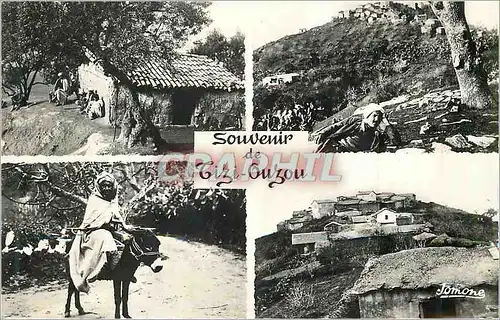 Cartes postales moderne Tizi Ouzou (Kabylie) Cafe Maure en Montagne Cimetiere au Pied d'un Village Kabyle Ane Donkey