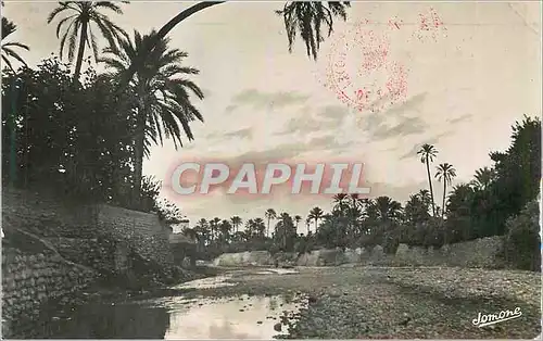 Cartes postales moderne Scenes et Types L'Oued dans la Palmeraie