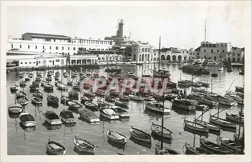 Cartes postales moderne Alger l'Amiraute Bateaux