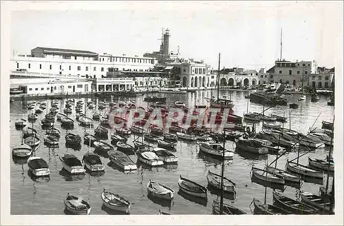Cartes postales moderne Alger l'Amiraute Bateaux