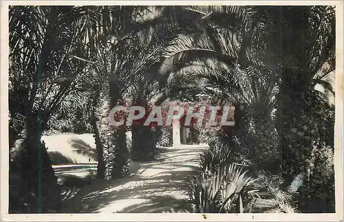 Cartes postales moderne Alger Parc de Galland