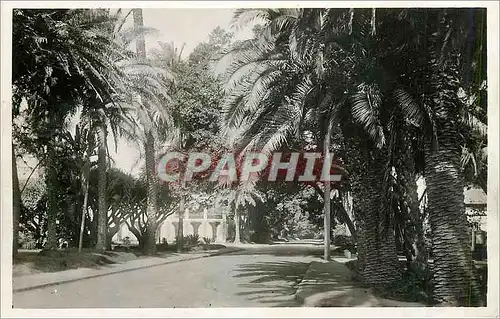 Moderne Karte Alger Jardin d'Essai Chemin de Ceinture