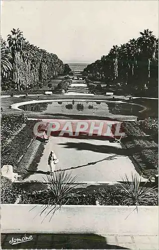 Cartes postales moderne Alger le Jardin d'Essai