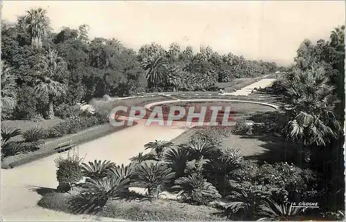 Moderne Karte Alger Jardin d'Essai Piece d'Eau