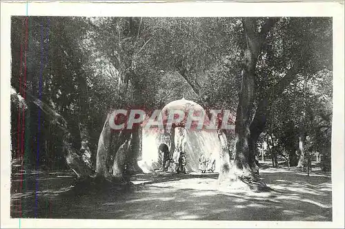 Moderne Karte Blida Marabout au Bois Sacre