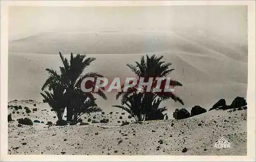 Cartes postales moderne Ouargla Algerie Dunes