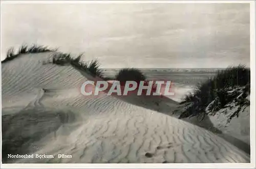 Cartes postales Nordseebad Borkum Dunen