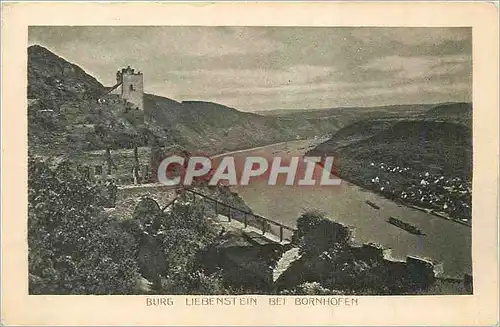 Cartes postales Burg Liebenstein bei Bornhofen