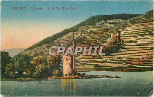 Cartes postales Bingen Mauseturn u Ruine Ehrenfels
