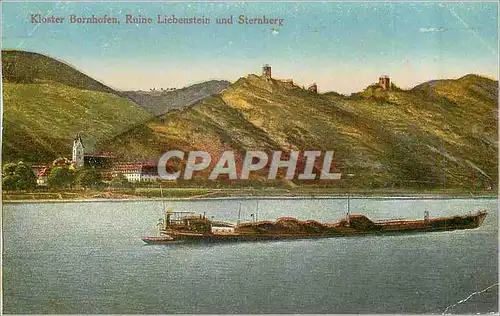 Cartes postales Kloster Bornhofen Liebenstein und Sternberg Bateau