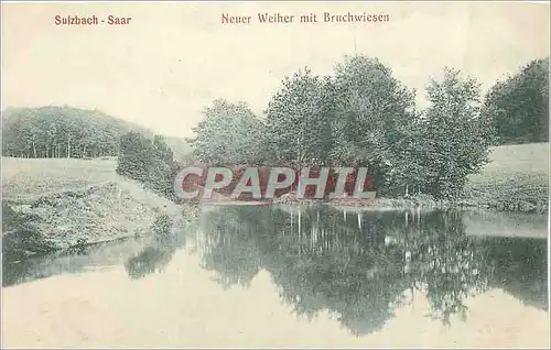 Cartes postales Sulzbach Saar Neuer Weiher mit Bruchwiesen
