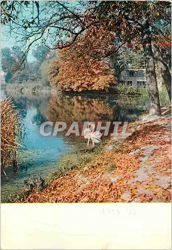 Moderne Karte Environs de Paris les Cygnes d'Enghien