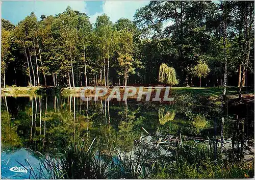 Cartes postales moderne La Foret de Montmorency (Val d'Oise) L'Etang Godard