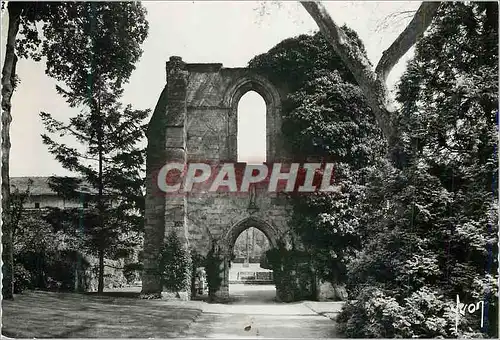 Cartes postales moderne Luzarches (S et O) Ruines de l'Abbaye d'Heriveaux