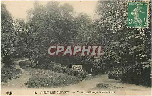 Cartes postales Saint Leu Taverny Un Coin Pittoresque dans la Foret