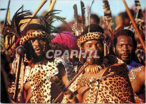 Cartes postales moderne Kwazulu Ulundi Southern Africa Folklore