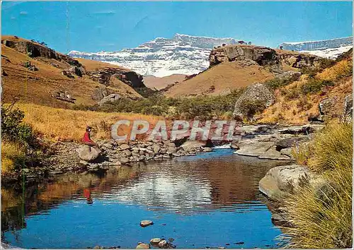 Cartes postales moderne South Africa Drakensberg Natal Solitude by a Mountain Stream