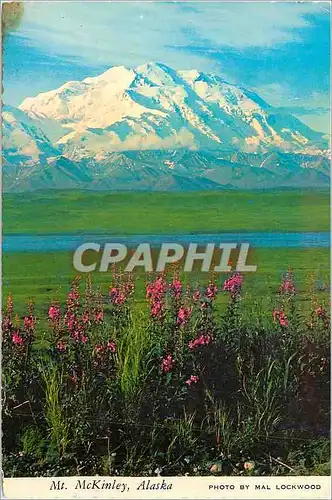 Cartes postales moderne Alaska Mt Mckinley a Breathtaking sight for the Tourist